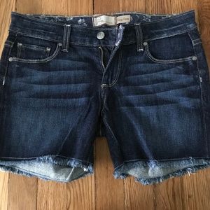 Paige Size 24 Denim Cutoff Shorts